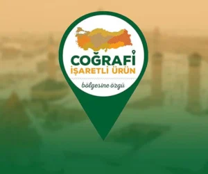Coğrafi İşaret Tescili
