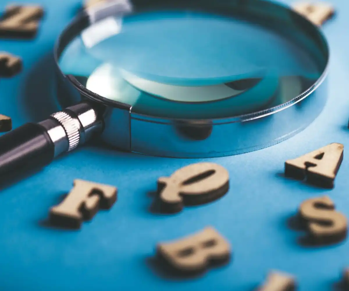 Marka Araştırma ve Sorgulama