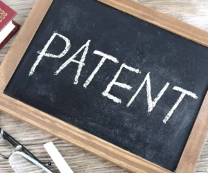 Patent Başvurusu
